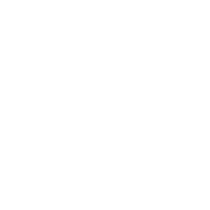 Logo Ashen Dragon Studio