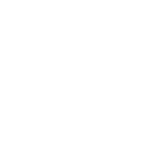 Logo Ashen Dragon Studio