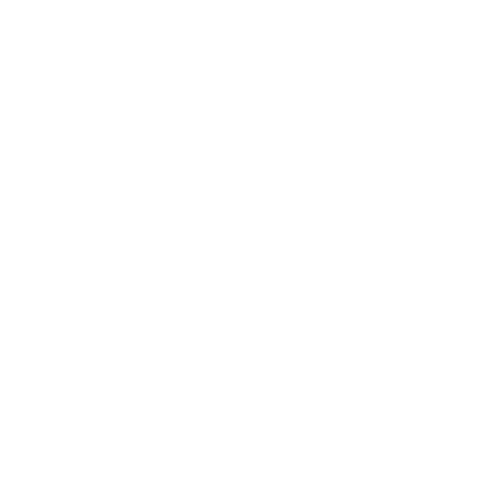 Logo Ashen Dragon Studio